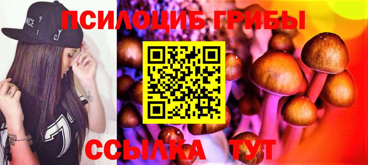 Псилоцибиновые грибы Magic Shrooms  Галлюциногенные грибы Magic Shrooms  закладка  Вход с VPN  Старый Оскол 